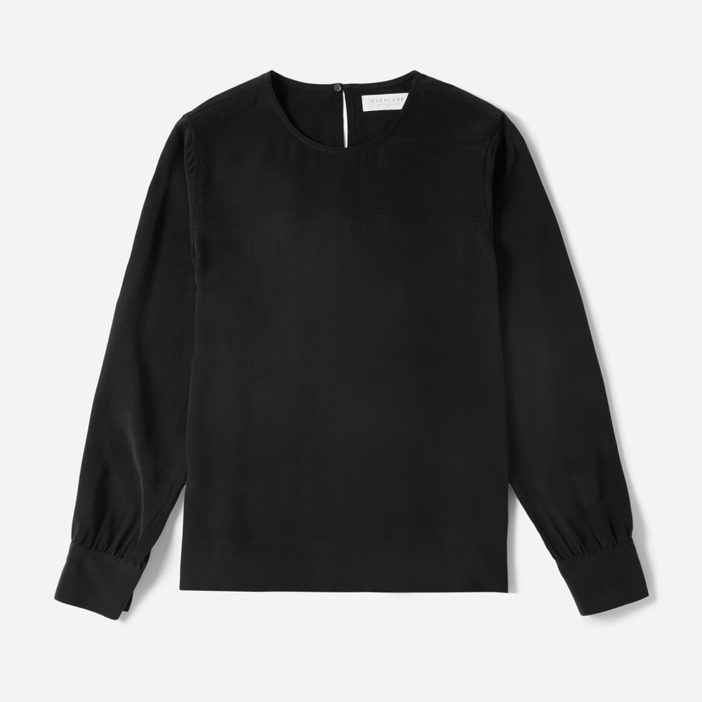 Everlane, the silk long-sleeve blouse size 2. In excellent condition.